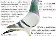Výstava poštovních holubů v Korytné