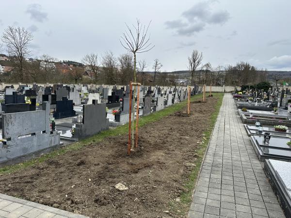 Výsadba na hřbitově