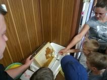 IMG_20170604_142833