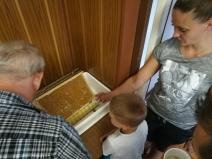IMG_20170604_150431