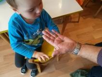 IMG_20171127_084803