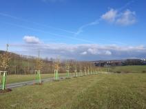 IMG_20171114_105540
