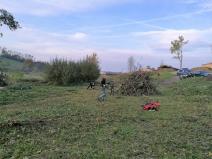 IMG_20171026_165207