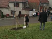 IMG_20181028_141606