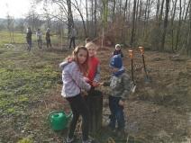 IMG_20181108_094933
