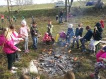 IMG_20181108_095904