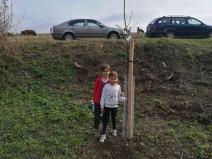 IMG_20181108_104008