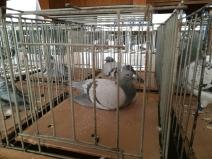 IMG_20181208_104638