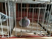 IMG_20181208_104656