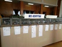 IMG_20181208_105248