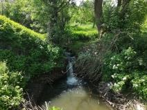 IMG_20190601_105023