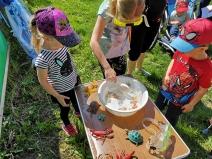 IMG_20190601_105247