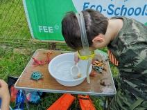 IMG_20190601_110839