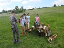IMG_20190601_115134
