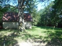 DSCN4029