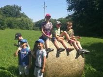 IMG_20190703_102058