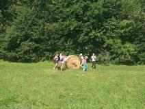 IMG_20190703_102249