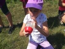 IMG_20190703_112400