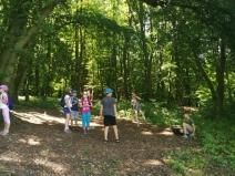 IMG_20190703_114847