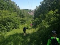 IMG_20190703_141656