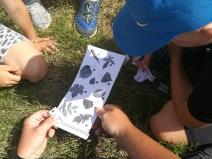 IMG_20190705_103251