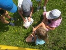 IMG_20190705_110656