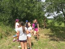 IMG_20190705_111558