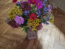 IMG_20190928_124856