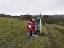 IMG_20191108_092244