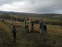 IMG_20191108_100212