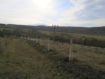 IMG_20191108_130618 (2)
