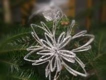 IMG_20191208_180255