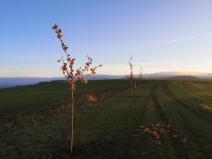 IMG_20201124_153421