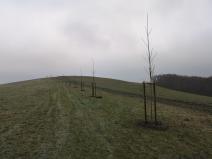 IMG_20201125_143321