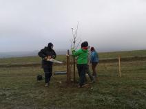 IMG_20201125_144421