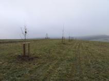 IMG_20201125_144646