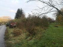 IMG_20201103_072649