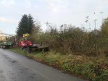 IMG_20201103_072703