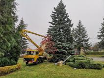 IMG_20201127_085151