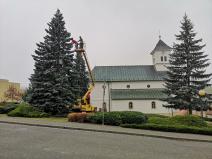 IMG_20201127_085455