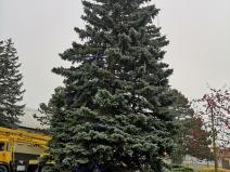 IMG_20201127_122757
