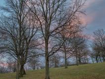 IMG_0723