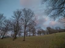 IMG_0726