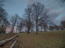 IMG_0731