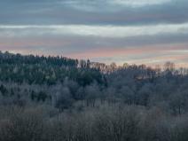 IMG_0734