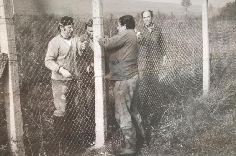 práce 1986
