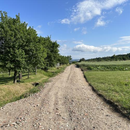 zpevnění cesty2