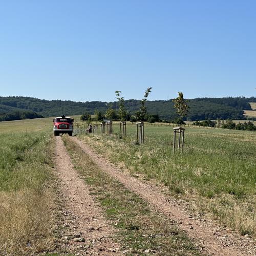 zálivka1