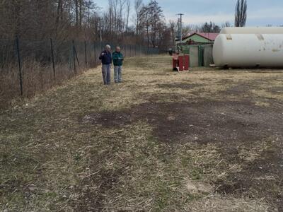 IMG-20250311-WA0012
