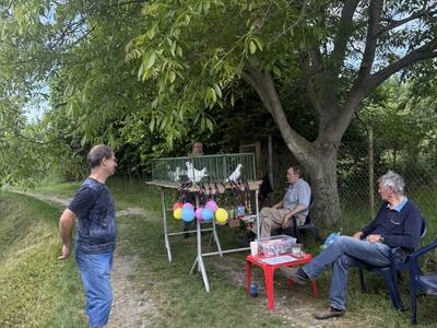 IMG_8884 (1)